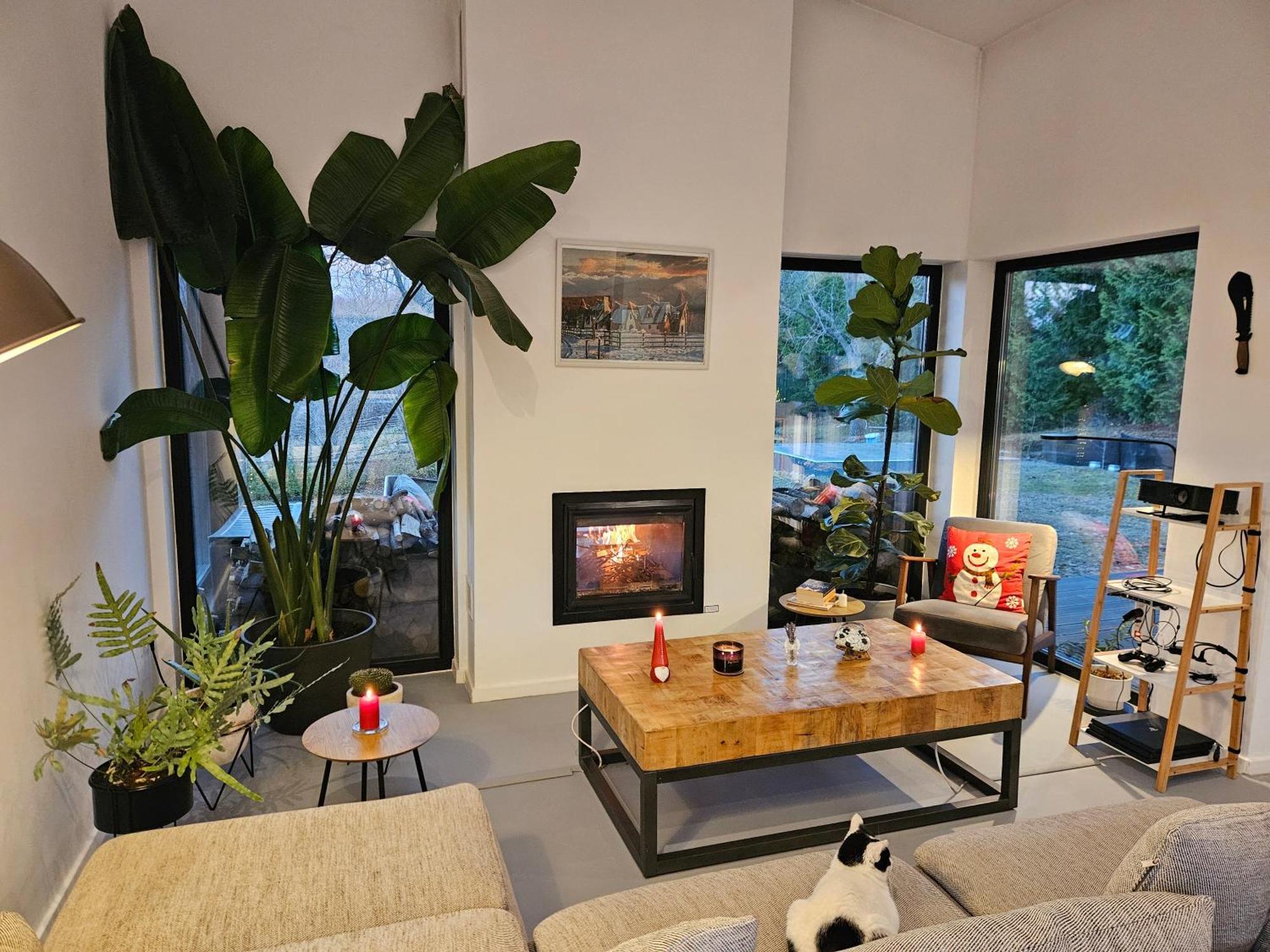 Black Walnut House With Indoor Outdoor Fireplace Izvoarele  Dış mekan fotoğraf